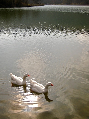 Galerie R�der - Photo10