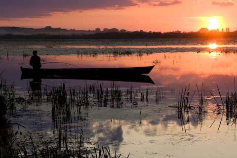 Galerie Sansonnet - Photo1