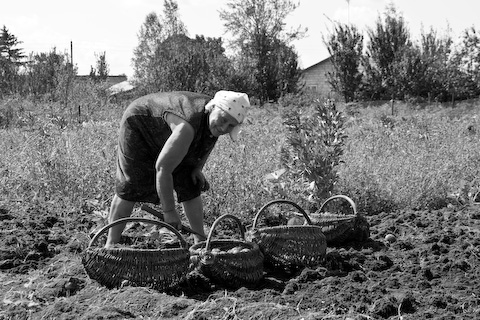 Galerie Sansonnet - Photo 9