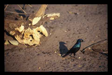 Galerie Santos - Photo1