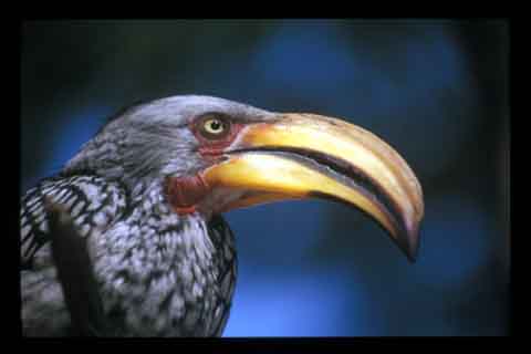 Galerie Santos - Photo2