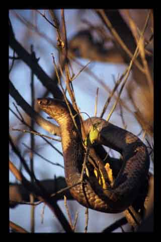 Galerie Santos - Photo3