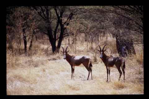 Galerie Santos - Photo 8