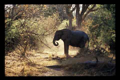 Galerie Santos - Photo 10