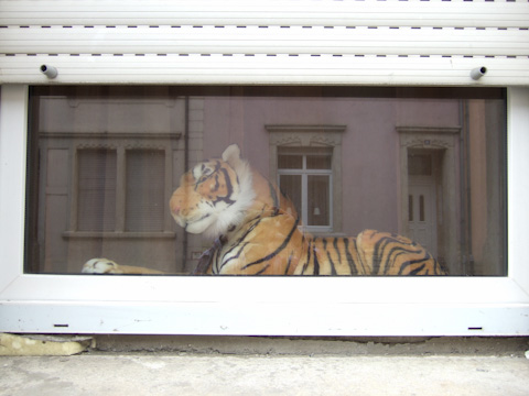 Galerie Van Gemert - Photo3