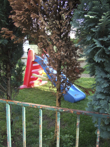 Galerie Van Gemert - Photo4