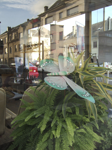 Galerie Van Gemert - Photo9