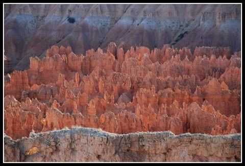 Galerie Zanuttini - Photo2