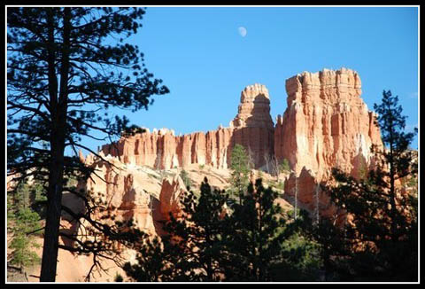 Galerie Zanuttini - Photo3