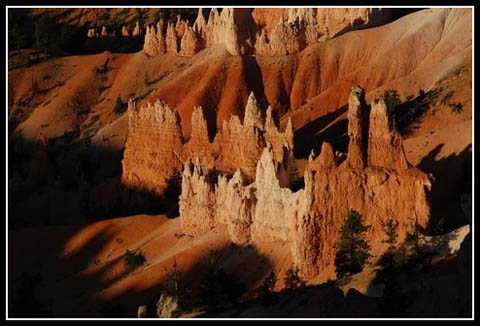 Galerie Zanuttini - Photo4