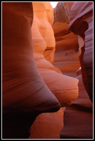 Galerie Zanuttini - Photo9