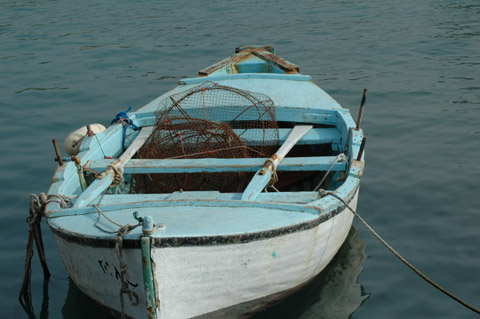 Galerie Ziad� - Photo6