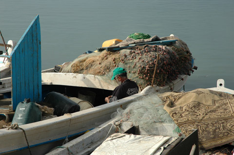 Galerie Ziad� - Photo7