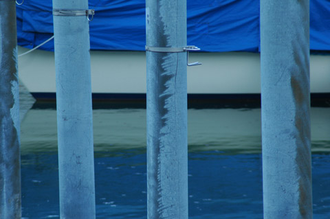 Galerie Ziad� - Photo8