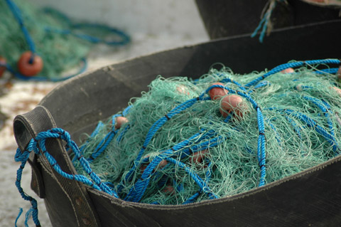 Galerie Ziad� - Photo9