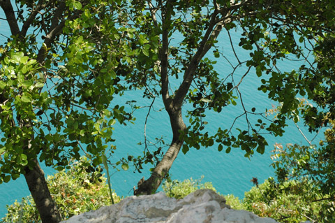 Galerie  Ziad� - Photo10