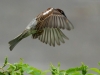 2012-05-11-15-01-49-2_resize