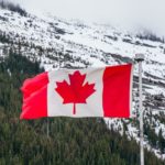 Lundi 3 juin 2019 : Carte blanche à Dirk Westermann