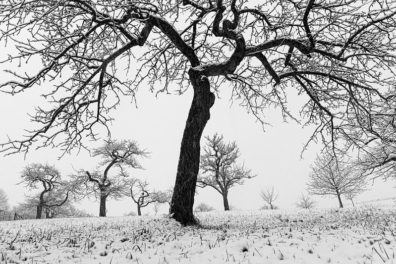 Hiver – Flickr album