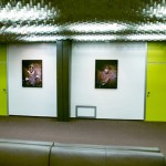 Vincenzo Cardile expose au bâtiment JMO