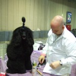 Nouvelle galerie: Willem van Gemert – Dog Expo