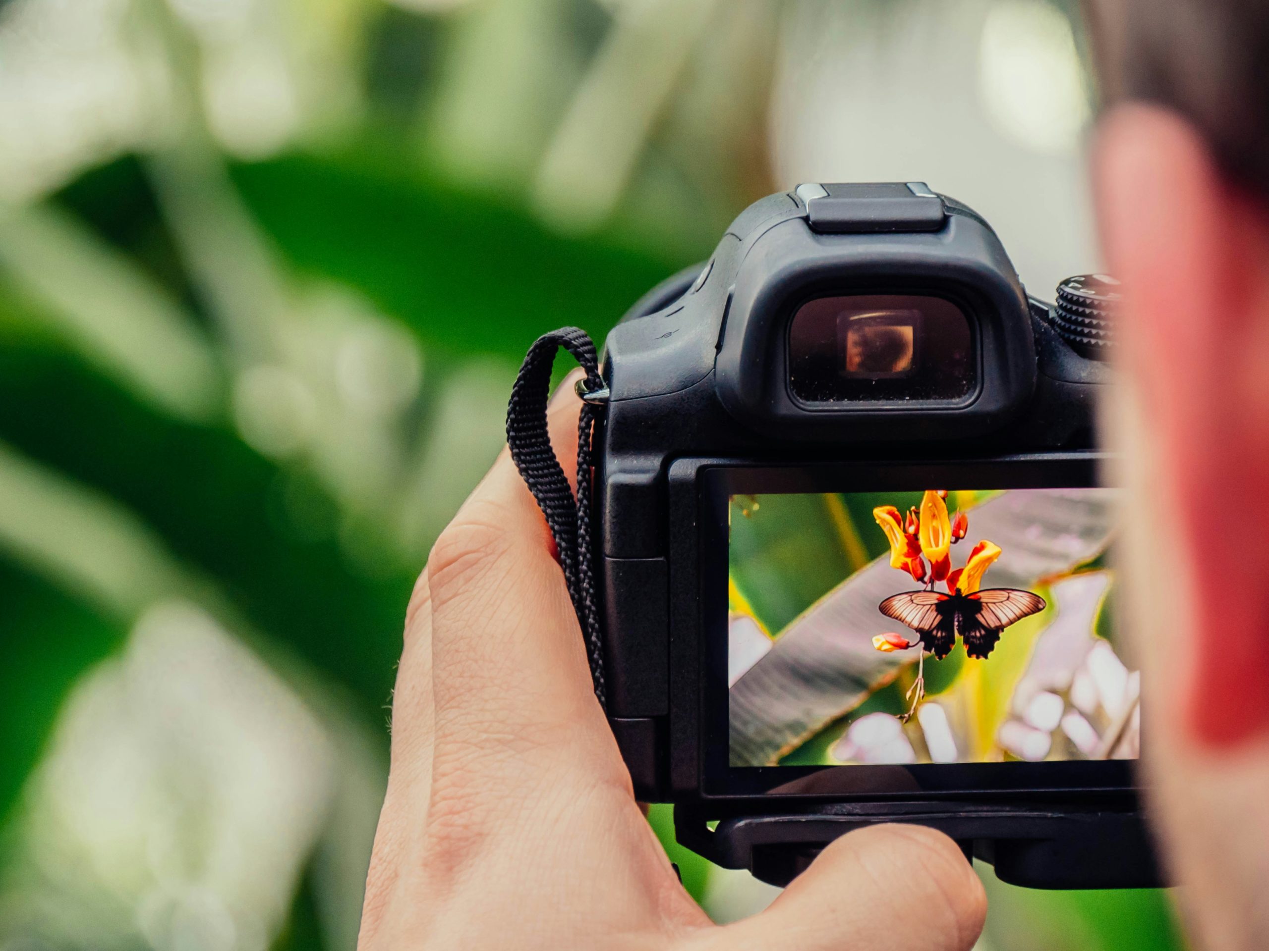 New Training: Introduction to Photography (Autumn 2024)